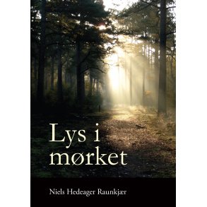 Niels Hedeager Raunkjr, Lys i mrket