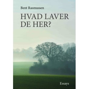 Bent Rasmussen, Hvad laver De her?