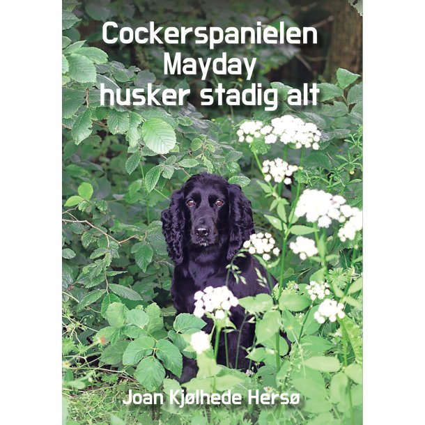 Joan Kjlhede Hers, Cockerspanielen Mayday  husker stadig alt