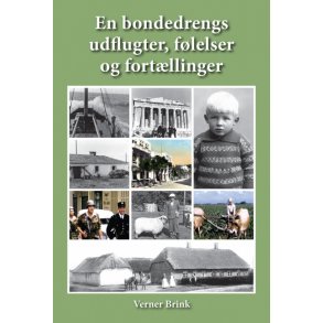 Verner Brink, En bondedrengs udflugter, flelser og fortllinger